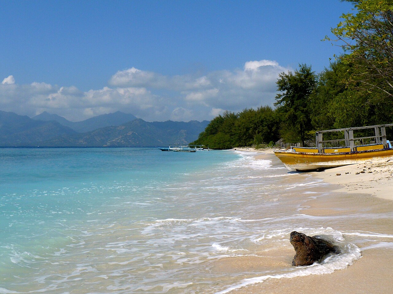 Snorkeling 3 Gili